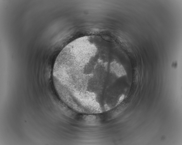 X0000089920230200707271743