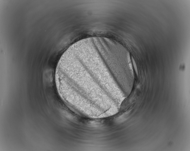 X0000089920232200707271742