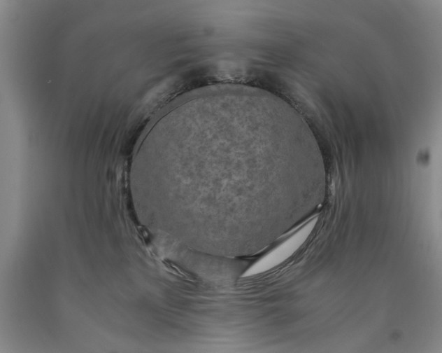 X0000089920233200707271742