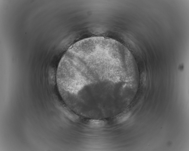 X0000089920234200707271742