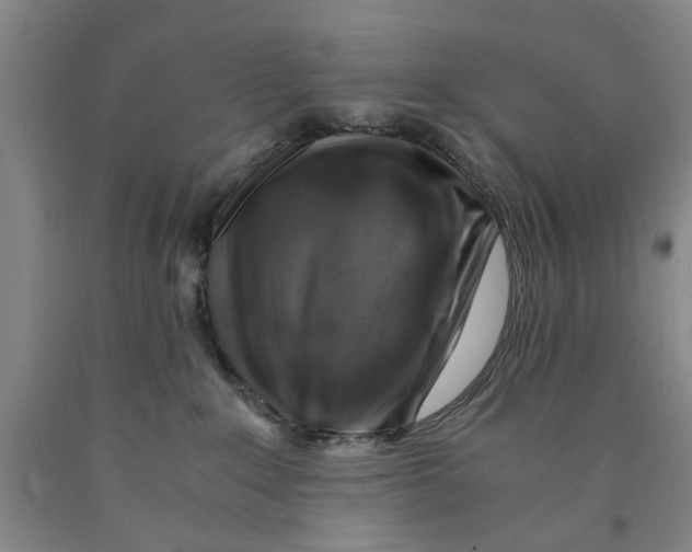 X0000089920235200707271742