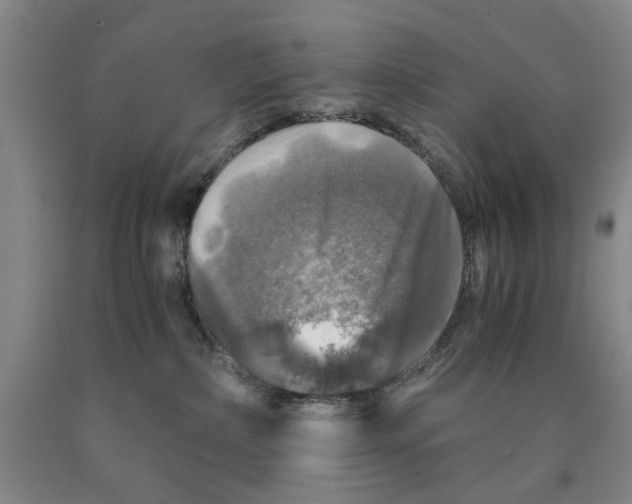 X0000089920236200707271742