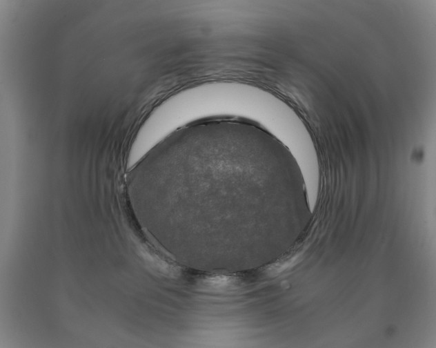 X0000089920237200707271742