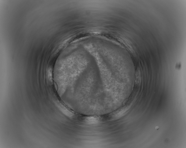 X0000089920238200707271742