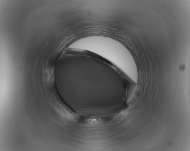 X0000089920239200707271742