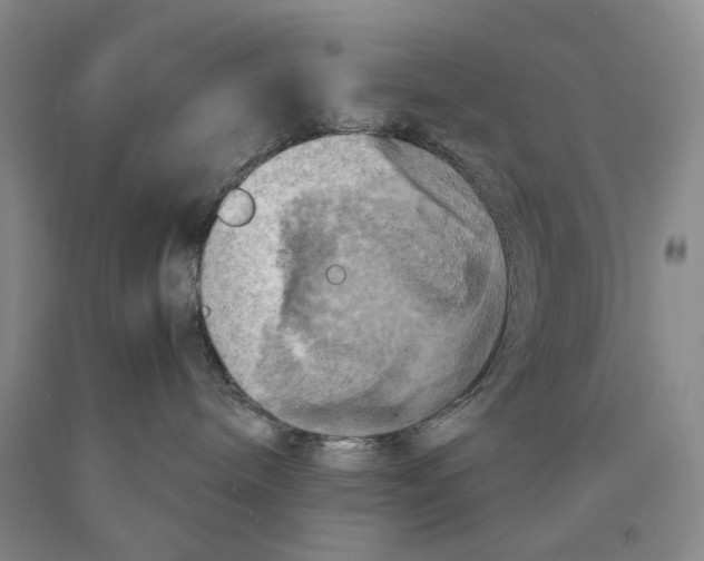 X0000089920240200707271742