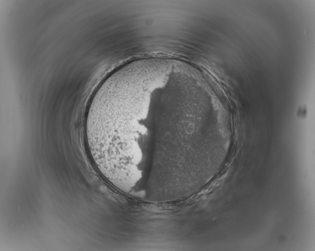 X0000089920241200707271742