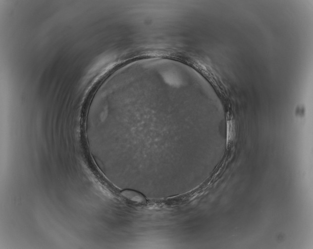 X0000089920243200707271742