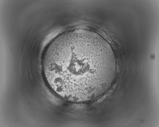 X0000089920245200707271742