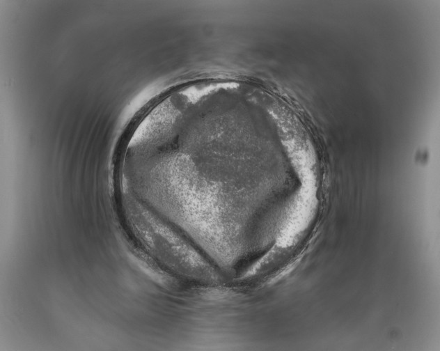 X0000089920246200707271742