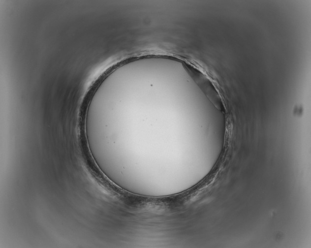 X0000089920248200707271742