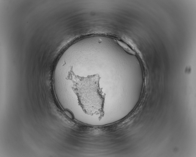 X0000089920249200707271742