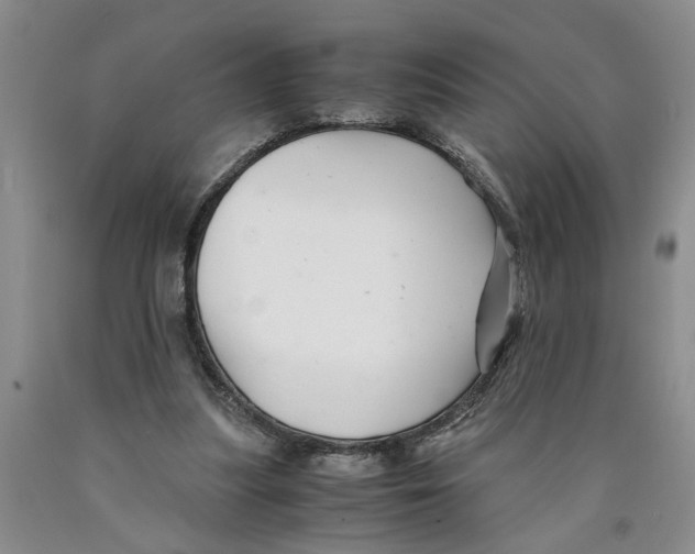 X0000089920251200707271742