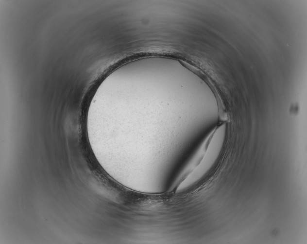 X0000089920252200707271742