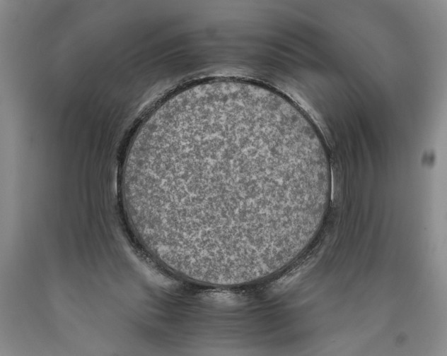 X0000089920253200707271742