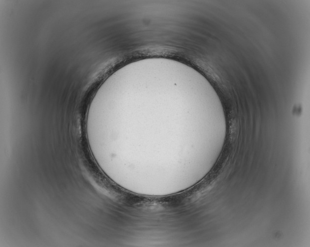 X0000089920254200707271742