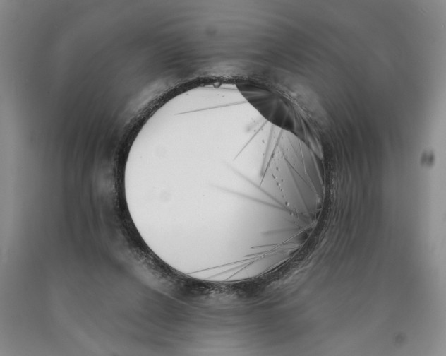 X0000089920256200707271742