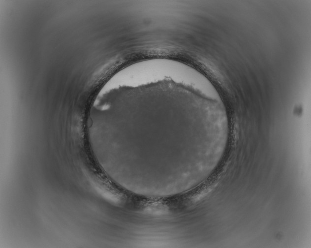 X0000089920258200707271742