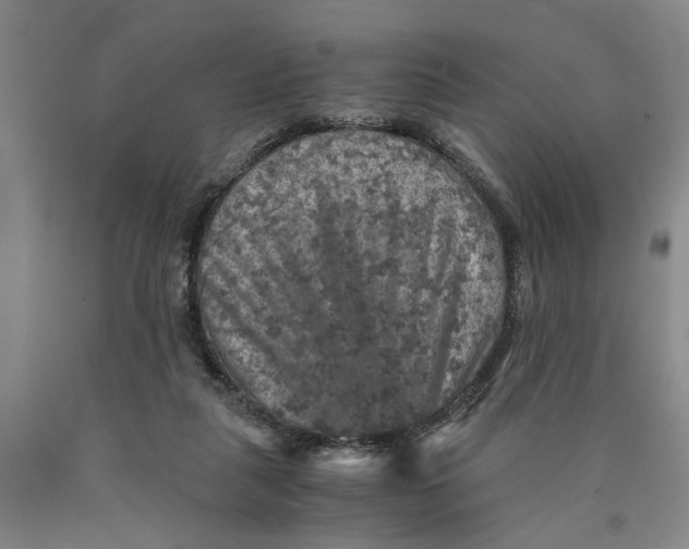 X0000089920259200707271742