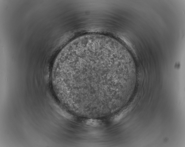 X0000089920261200707271742