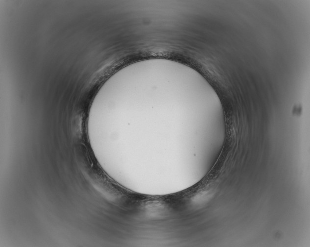 X0000089920262200707271742