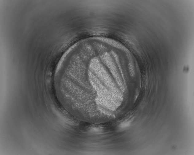 X0000089920263200707271742