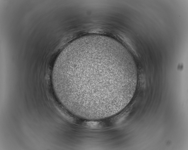 X0000089920265200707271742