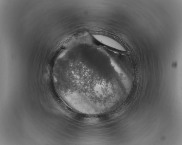 X0000089920266200707271742