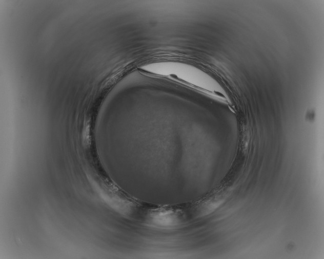 X0000089920267200707271742