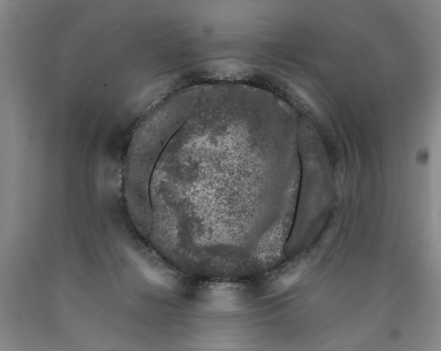 X0000089920268200707271742