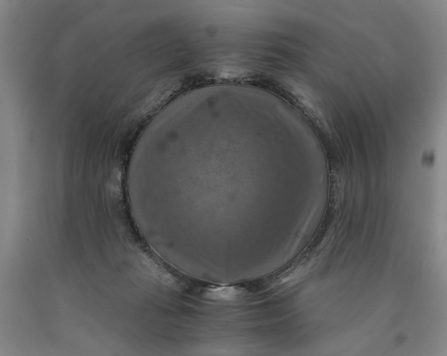 X0000089920269200707271742