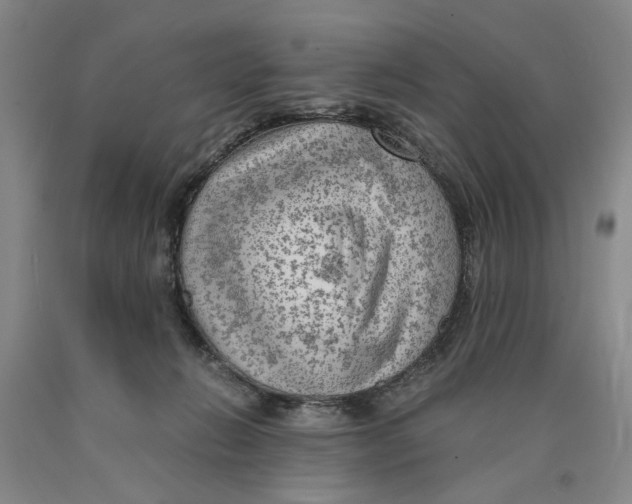 X0000089920270200707271742