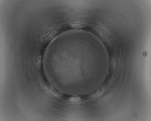 X0000089920271200707271742