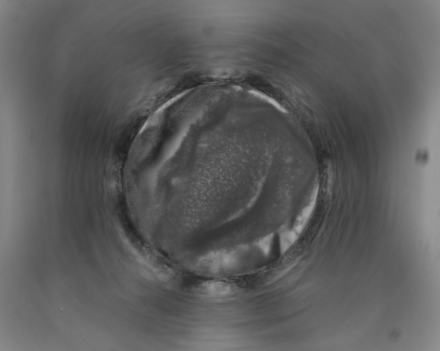 X0000089920272200707271742