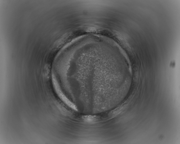 X0000089920273200707271742