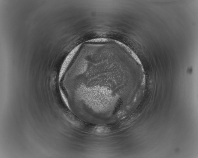 X0000089920275200707271742