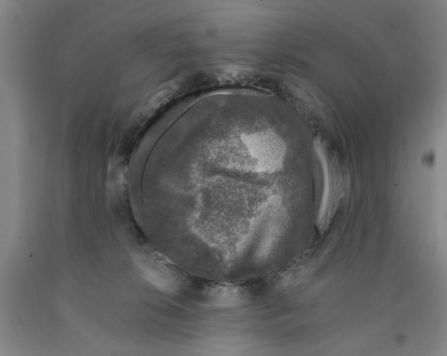 X0000089920276200707271742