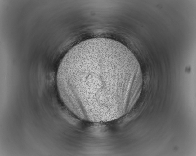 X0000089920278200707271742