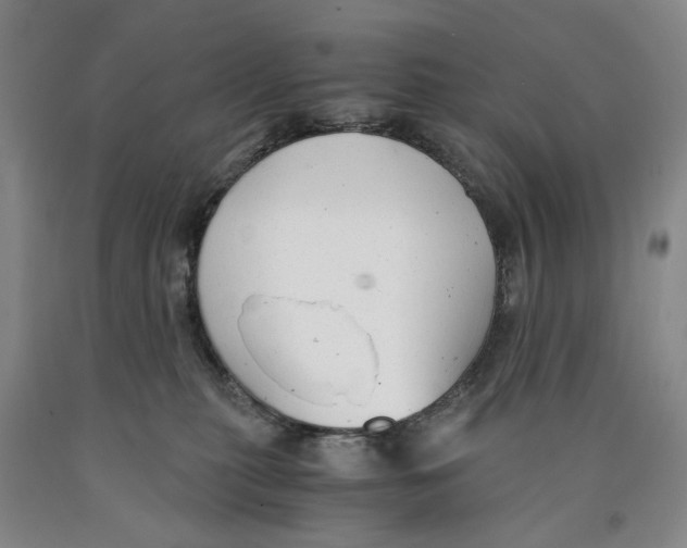 X0000089920279200707271742