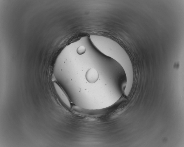 X0000089920280200707271742