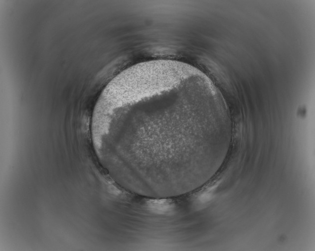 X0000089920281200707271742