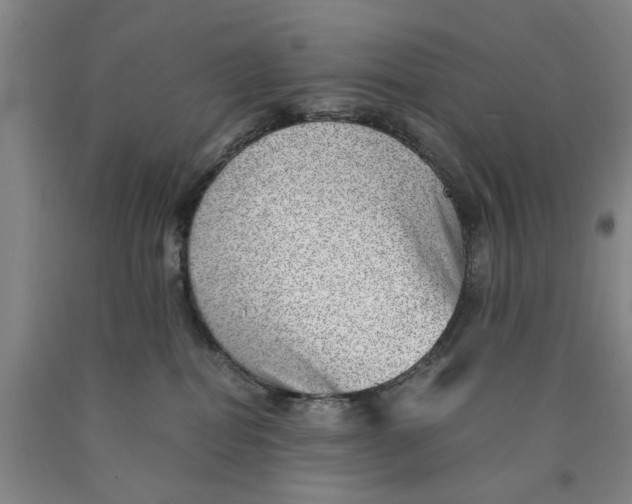 X0000089920282200707271742