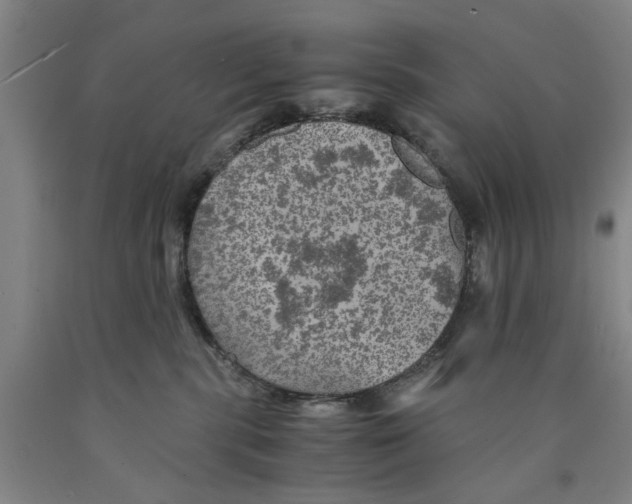 X0000089920283200707271742