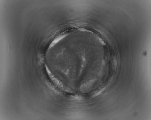 X0000089920284200707271742