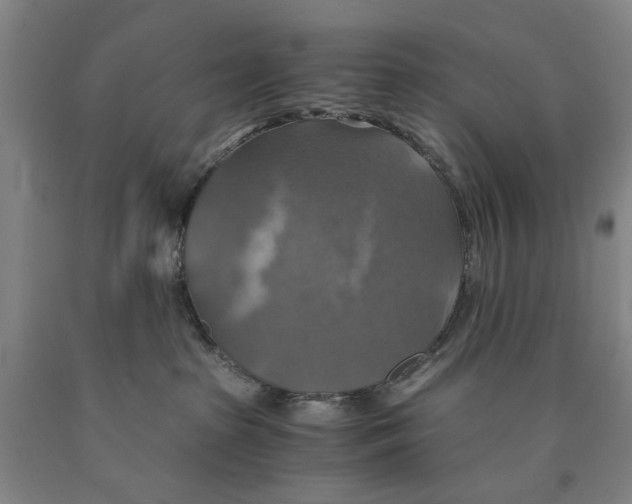 X0000089920285200707271742