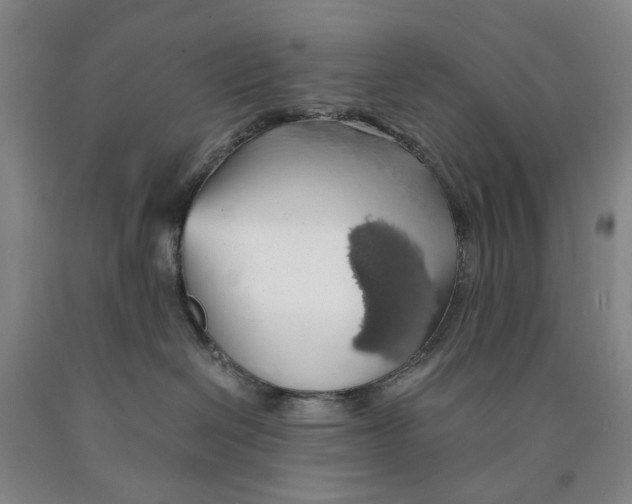 X0000089920286200707271742