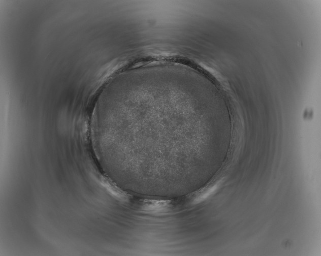 X0000089920288200707271742