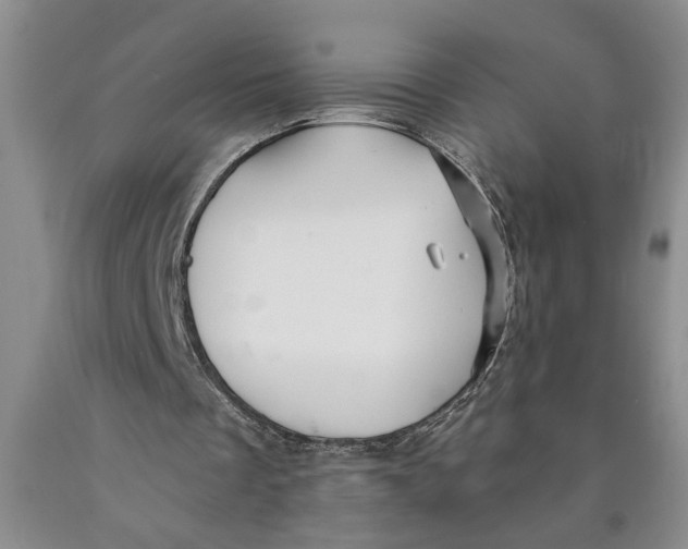 X0000089920289200707271742