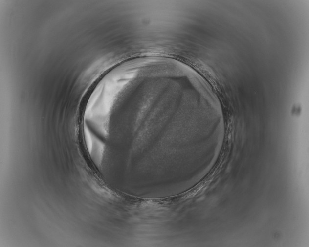 X0000089920290200707271742