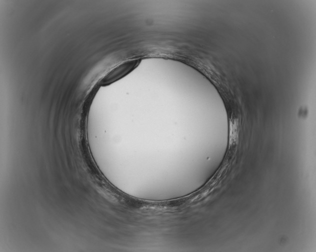 X0000089920291200707271742